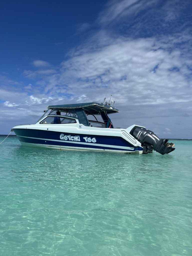 A boat sitting in turquoise waters with a blue sky in the distance. 