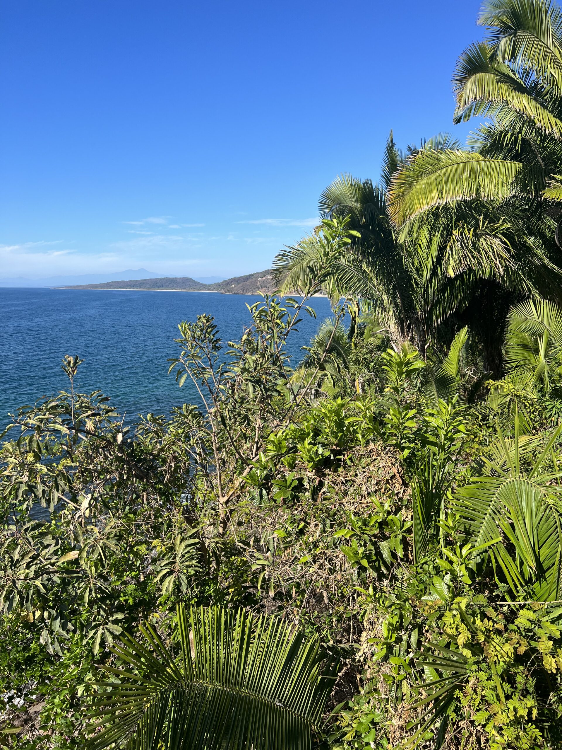 A lush green jungle high on a clifftop overlooking the ocean in Puerto Vallarta, Mexico.